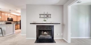 10300 APPALACHIAN Circle Gallery 10