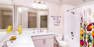 AMLI Park Avenue Gallery 12