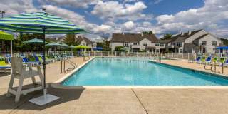 Hamilton Greene Gallery 17