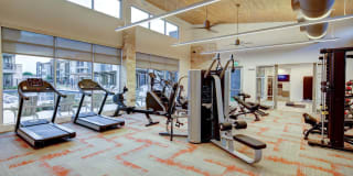 The Conley Gallery 12