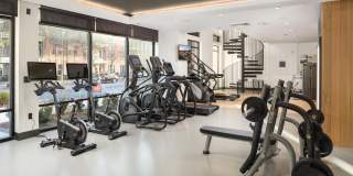 Solis Dresden Village Gallery 17