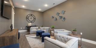 Moonlight Moonlight Gallery 14