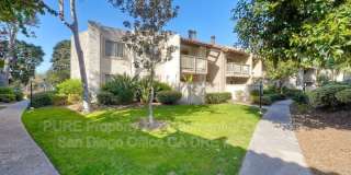 9909 Azuaga st 9909 Azuaga st Gallery 1