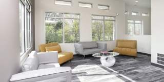 Alpine Studios Gallery 2