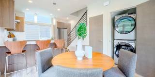 Seward Park Modern 2-Bedroom Home Gallery 7