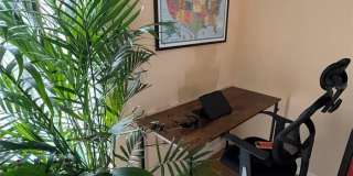 239 S MCMULLEN BOOTH ROAD Gallery 14