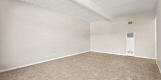 Coliseum Gallery 18