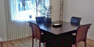 50 UNDINE Gallery 10