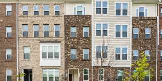 212 MATISSE Place Gallery 1