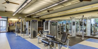 Gables Park 17 Gallery 12