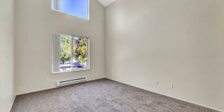 Hampton Park Gallery 31