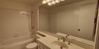 8 Sparrowhawk Gallery 1