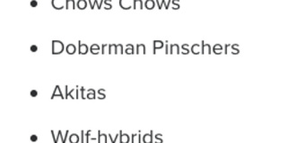 Beautiful 2nd floor (with elevator services) condominium: 2-bed, 2-bath, beautiful kitchen, bonus room, laundry room & deck! Gallery 31
