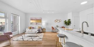 The Elinor Gallery 33