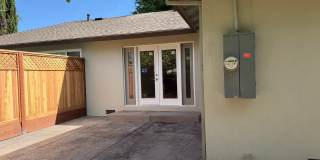 Fully Remodeled 3 Bedroom/ 2 Bathroom Duplex w/ Modern Finishes & Private Yard! Gallery 29