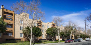 Vineland Gardens Gallery 1
