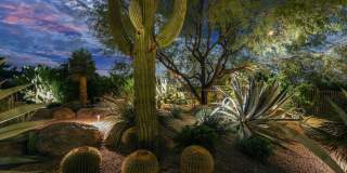 8193 E SAND FLOWER Drive Gallery 77