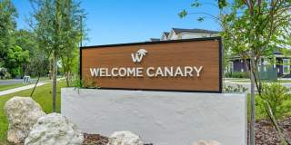 Welcome Canary Gallery 13