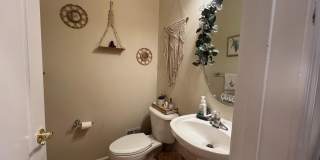 7039 LITTLE THAMES Drive Gallery 16