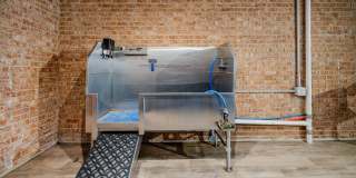 Selwyn Flats Gallery 18