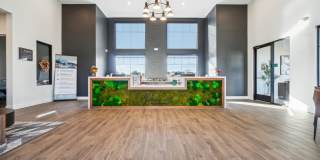 Premier at West Park Gallery 31