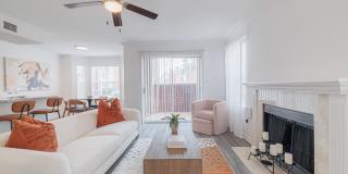 Elle Collection Gallery 20