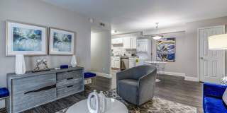 Elite at Lakeview Gallery 12