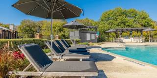 Wray North Dallas Gallery 31