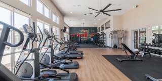 Arrive Suisun Gallery 6