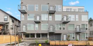Canopy Apartments Gallery 29