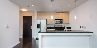 Beautiful Studio Condo In The Adelicia Gallery 7