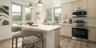 Lilian Frogtown Gallery 1