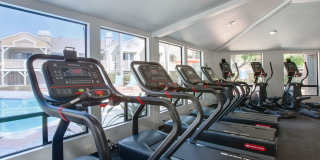 Island Club Apartments Gallery 17