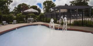 Dwell Cherry Hill Gallery 8