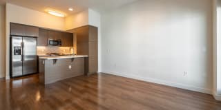 Next on Sixth Gallery 53