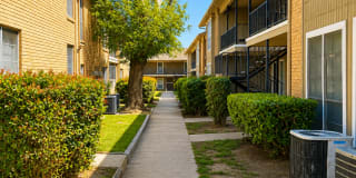 Ashton Park Apartments Gallery 17
