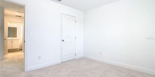 11165 GREEN CITRON Alley Gallery 30