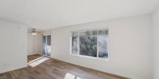 Colony Park Gallery 6