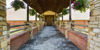 The Fields Gallery 19