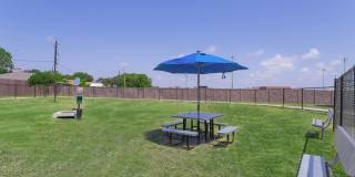 Century Palm Bluff Gallery 22