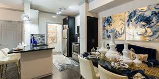 Oak Row North Dallas Gallery 3