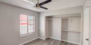 Rise on Cactus Gallery 15