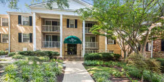 Lerner University Square Gallery 1