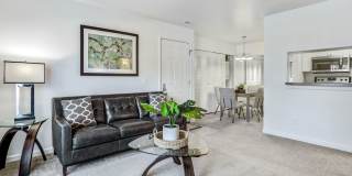 Shoal Creek Gallery 5