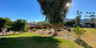 45384 Driftwood Drive Gallery 23