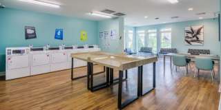 Nu Six Forks Gallery 15