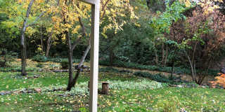 Nevada City Town-House Close to Downtown! Gallery 24