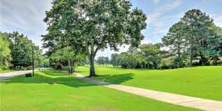 160 Boxelder Lane Gallery 34