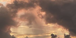 5880 Midnight Pass Road Gallery 12