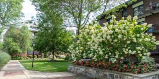 Quincy Commons Gallery 4